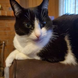 Meet your Posher, Alison